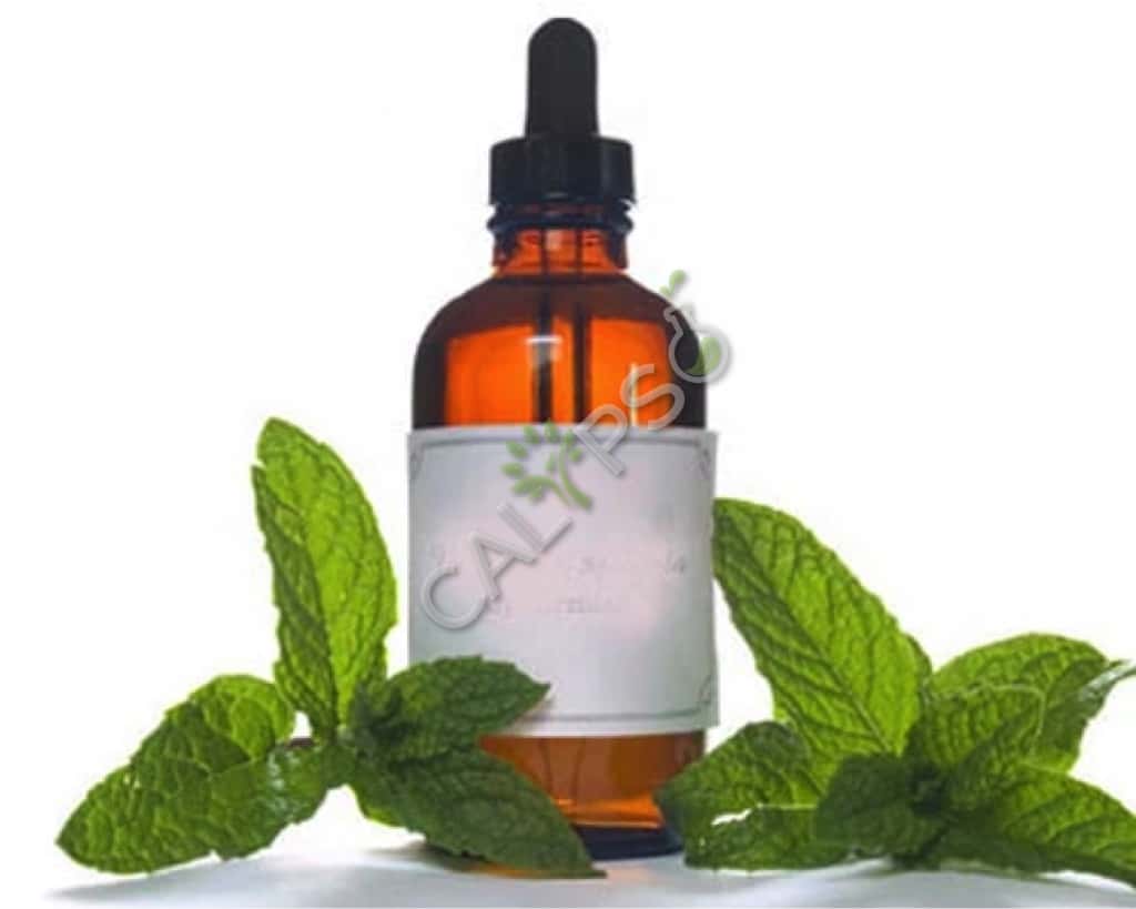 Organische Patchouli-olie
